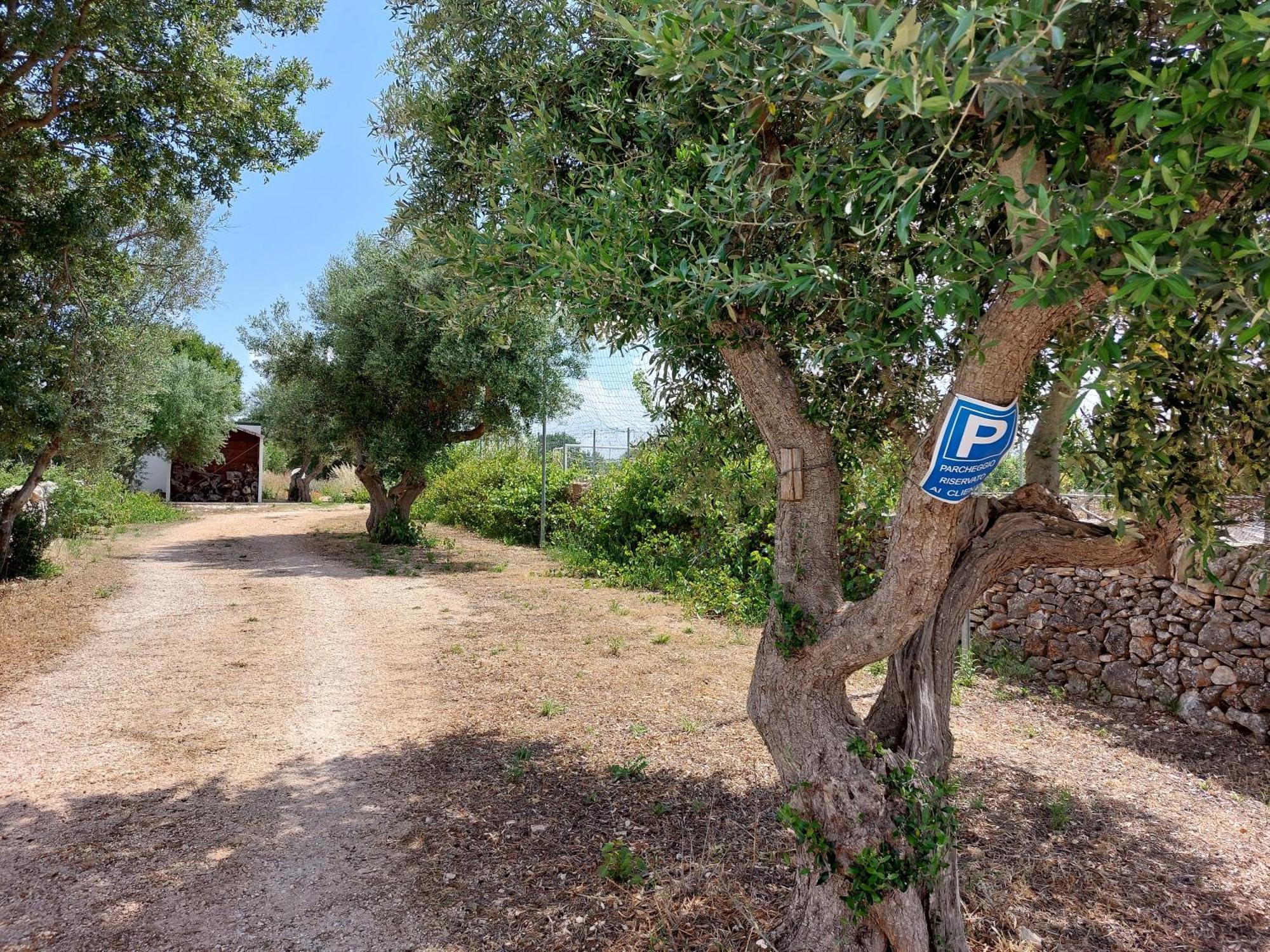 Trulli Don Diego Bed & Breakfast Noci Exterior photo